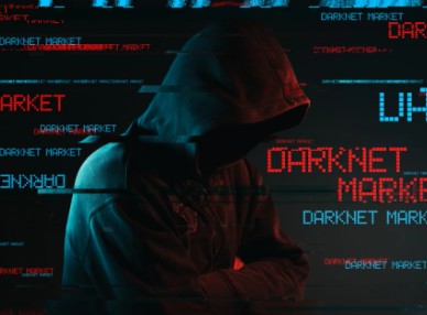 Ambruknya Imperium Ross Ulbricht di Labirin Dark Web
